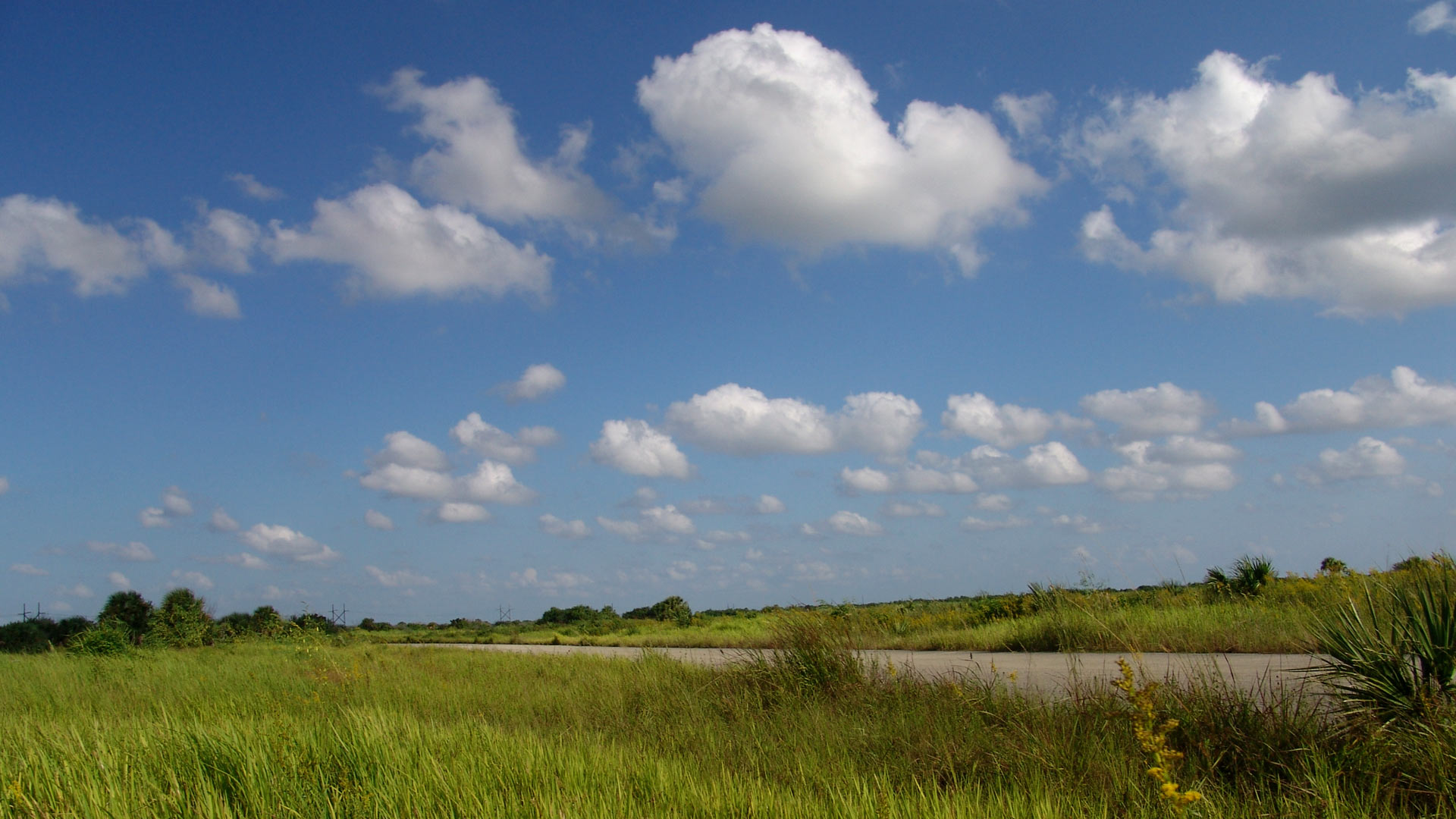 Blue_Sky_Green_Grass_Clouds_1920x1080